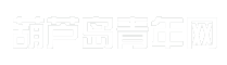 葫芦岛青年网